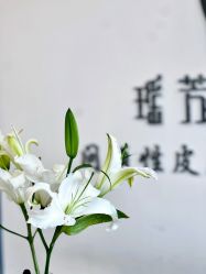 -瑶芳清颜草本祛痘