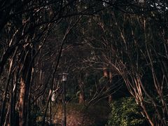 -黄兴公园