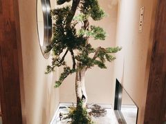 -觅唐MITONG(鸟巢店)