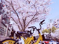 -永乐路-路侧停车场