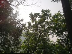-南山植物园