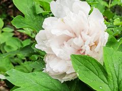 -苏州河梦清园环保主题公园