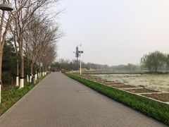 -大兴滨河森林公园