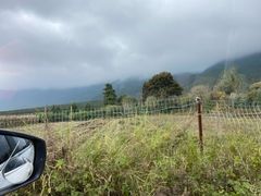 -玉湖村