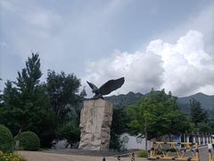 -阳台山自然风景区