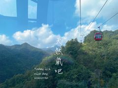 -栾川竹海野生动物园