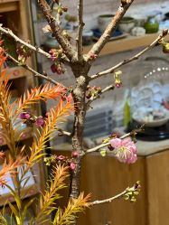 -今日陶艺(富力广场店)