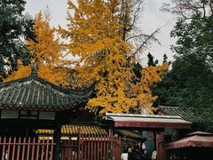 -成都武侯祠博物馆