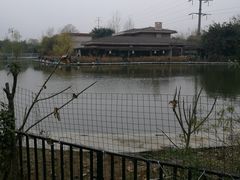 -两河城市森林公园