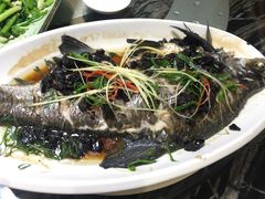 榄角蒸鱼-美极鲜食坊(宝安南路店)