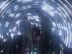 -锦江乐园舞狸花花游园会(夜场专享)