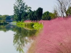 -嘉北郊野公园