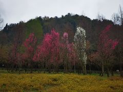 -贵阳市花溪国家城市湿地公园