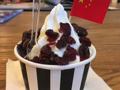 -JW德国冻酸奶Frozen Yogurt(龙湖成都滨江天街店)