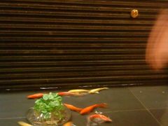 景观位-申宴酒楼(王子百货店)