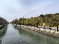 -松鹤楼(狮山永利广场店)