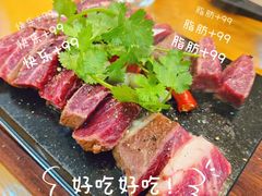 -法米妮· 无界野厨