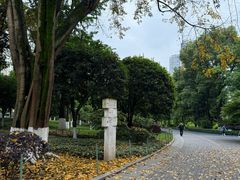 -龙头寺公园