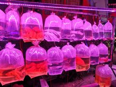 -华声天桥民俗文化园