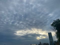 -星海湾跨海大桥