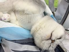 -联合动物医院(光谷诊疗中心)