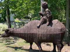 -上海长兴岛郊野公园