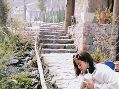 -MOJ coffee(瓯海泽雅水碓坑店)