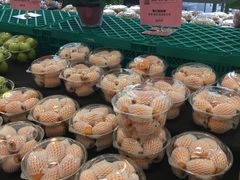 -叶氏兄弟(大连奥特莱斯店)