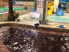 -南宫温泉水世界