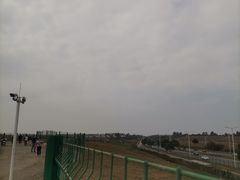 -空港花田景区
