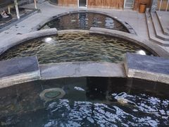 -嘉佑温泉水世界