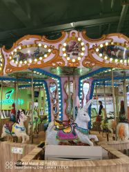 -卡通尼·Safari非洲探索乐园·生日会(金桥国际商业广场店)