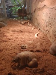 -Zoolung Zoolung动物主题公园(海信广场店)