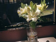 -都氏家DUSJOY(翡翠城店)