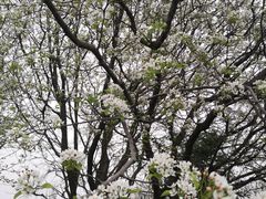 -盘龙城国家考古遗址公园