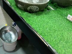 -大酒缸(高碑店文化新大街店)
