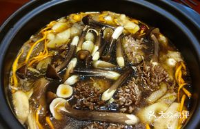 Red Chanterelle Mushroom