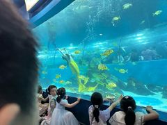 -苏州海洋馆