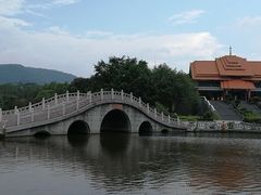 -大屏嶂森林公园