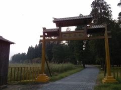 -渌洋湖湿地公园