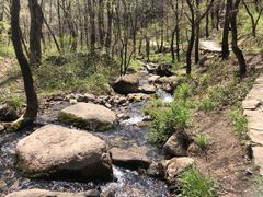 -玉渡山自然风景区