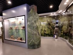 -下渚湖国家湿地公园科普馆