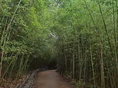 -金海湾滨江公园