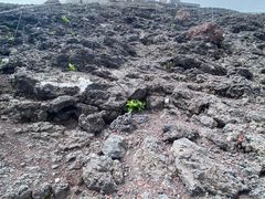-富士山吉田線五合目