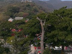 -妙峰山风景名胜区