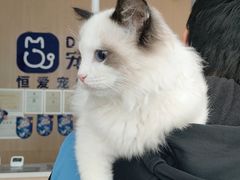 -宠颐生·恒爱宠物医院(静海店)