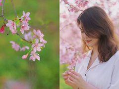-天适樱花悠乐园