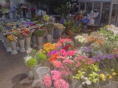 -双季花艺园艺市场(浦东店)
