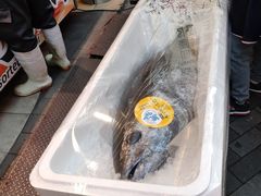 -大起水产回转寿司(道顿堀店)