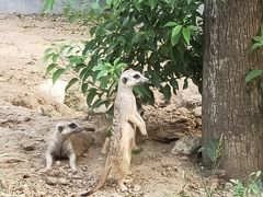 -长廊欢乐园